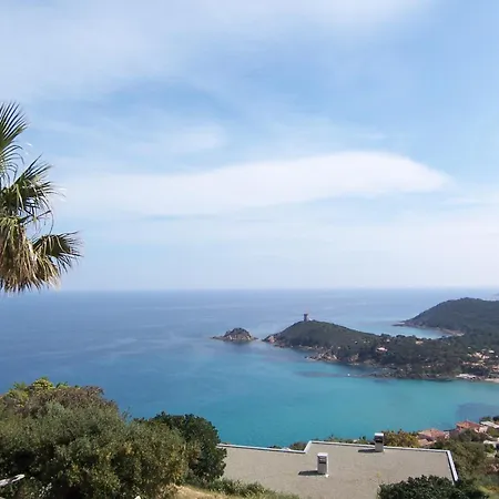 Carole F4 * ゾンザ