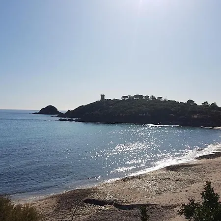 Carole F4 アパート *